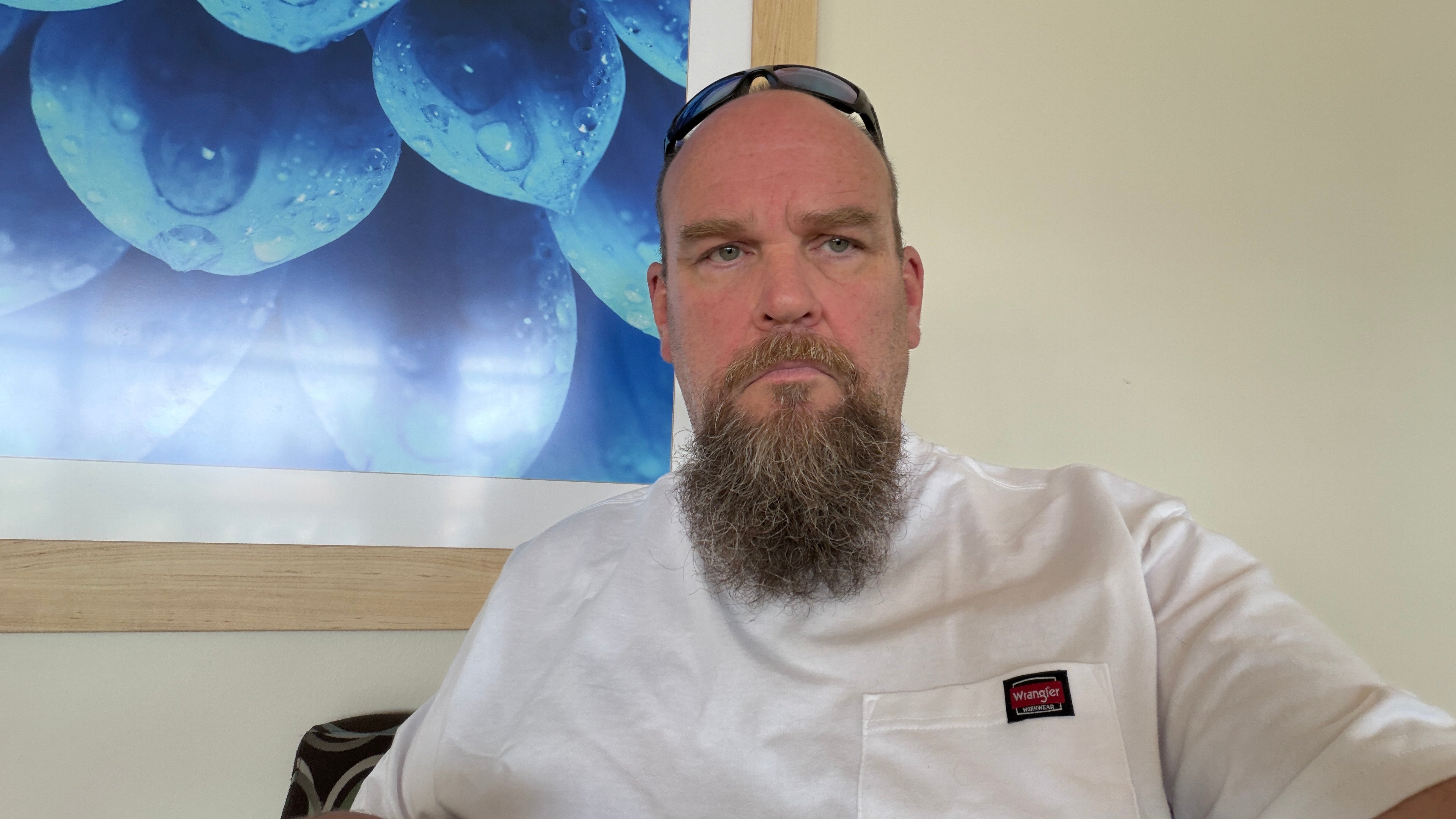 Sparky sitting in a medical office wearing a white Wrangler t-shirt, with a blue abstract art print on the wall behind him, taken during his cardiology follow-up visit.